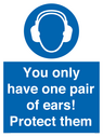 mandatory-you-only-have-one-pair-of-ears-protect-them~